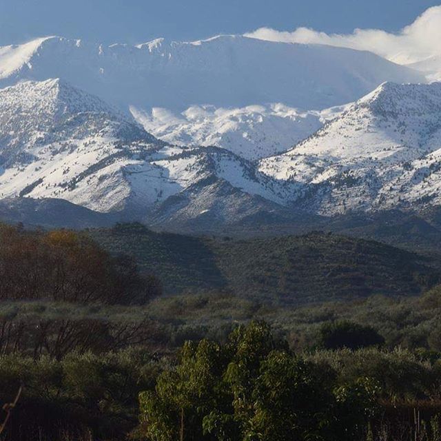 osiris_invest's tweet photo. The white mountains are white again since early morning hours of 1st December.
Kalo mina everybody 🙏
#magicalcrete #crete #chania #heraklion #apokoronas #Kreta #Creta #winterinCrete https://t.co/kqG59jGfRs https://t.co/08gbKOkLy6