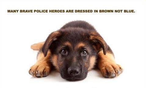 TheK9Fund's tweet photo. Have a great Sunday! #LAPDK9 #K9Fund #K9 #PoliceK9s https://t.co/qxlnBU5nya https://t.co/LPOReRvoMJ