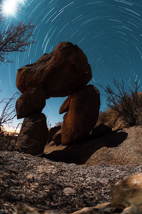 Tyler Soden tweet media