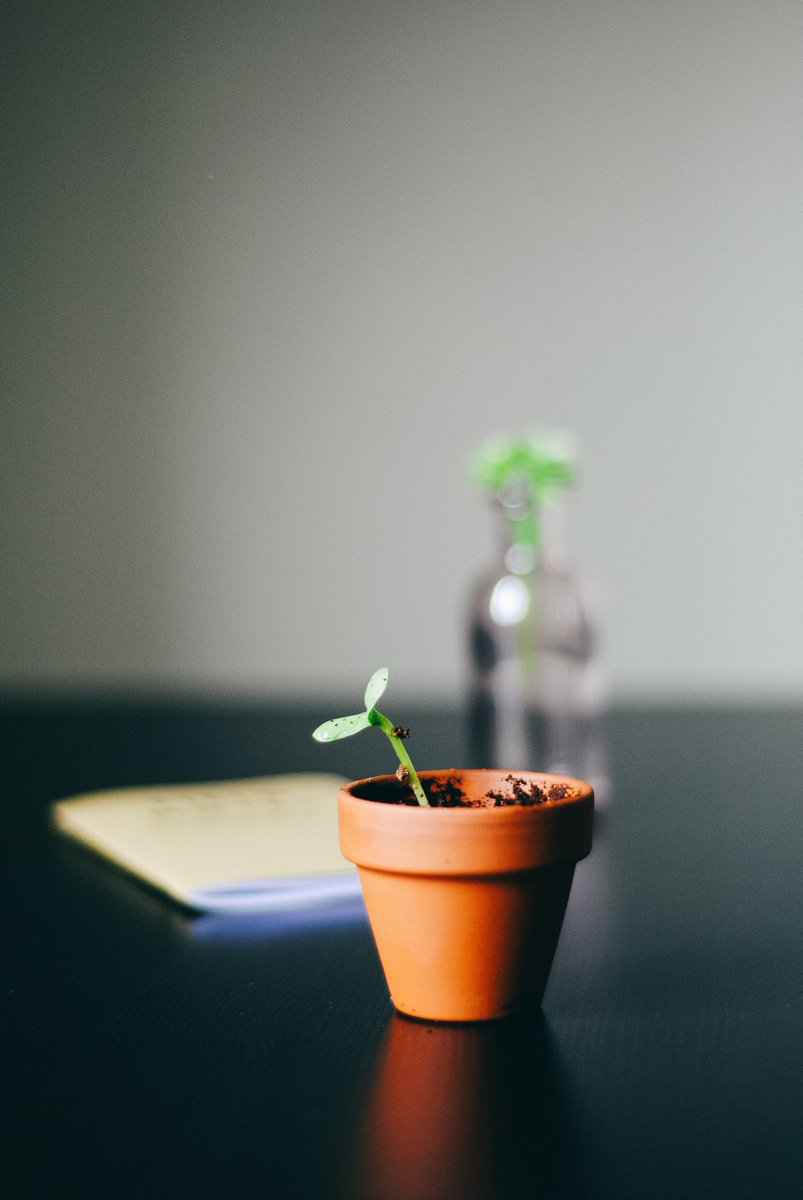 rotatellc's tweet image. Planting the seed for your 2019 strategy today will help your business get off to a fast start to the new year. Visit the link in our bio for a free consultation!
.
.
#rotatellc #consultation #seed #plant #2019 #newyear #success #growth #marketing #technology  #entrepreneur