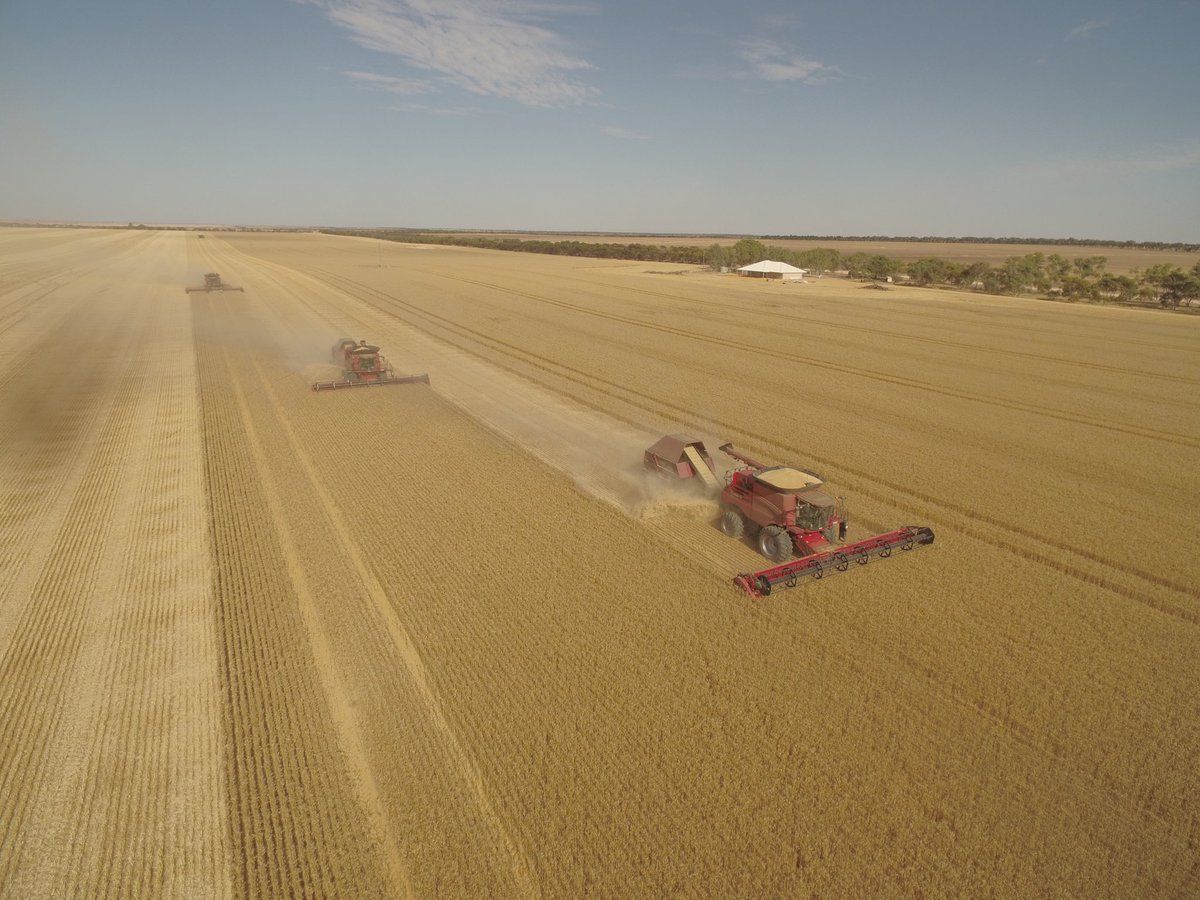 Couple of drone shots this morning of #Harvest18