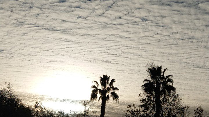 kthomi's tweet photo. #Winter ❄️🌀🌀🌬️ https://t.co/qQfhBpZhoI