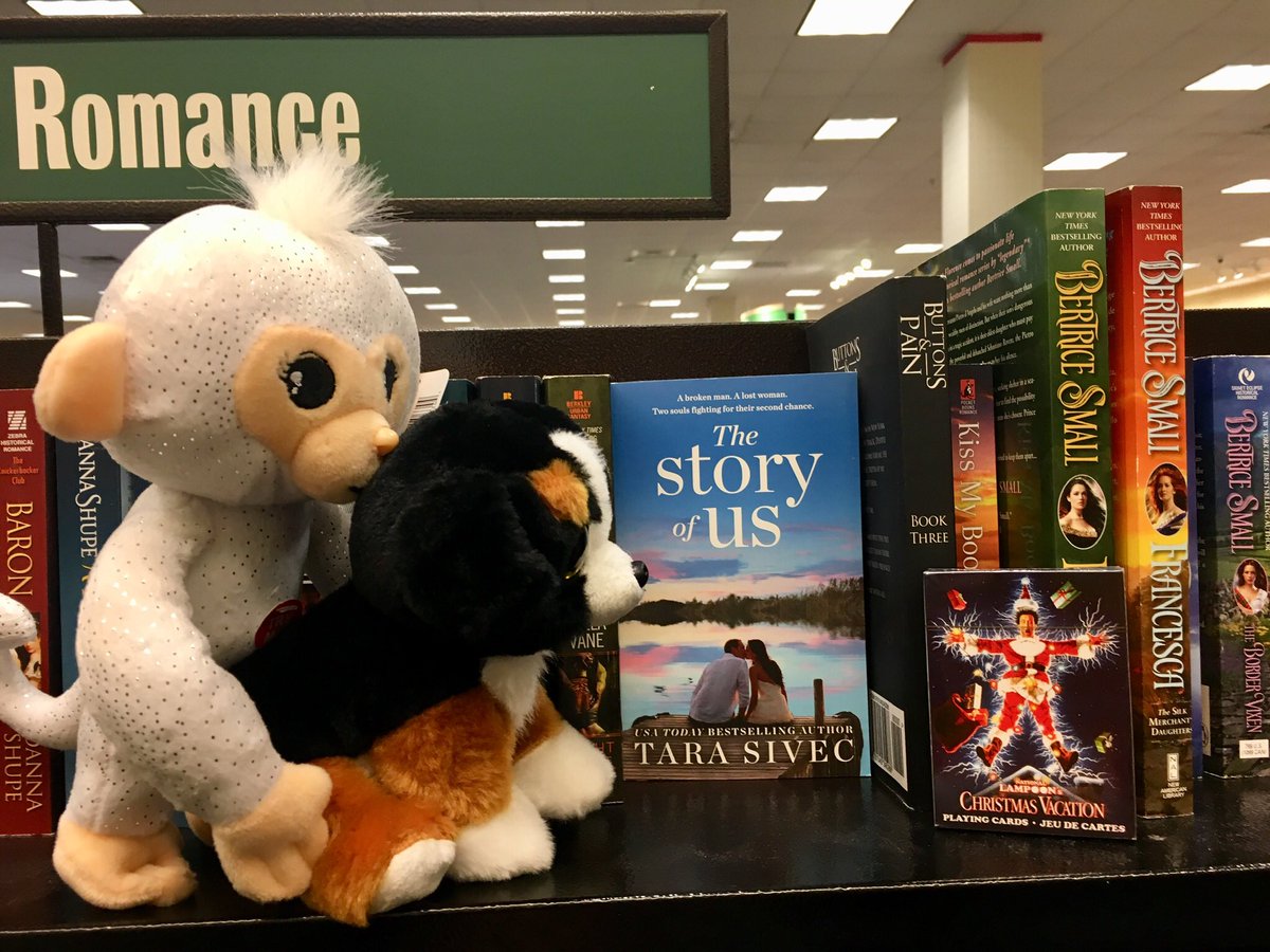 Francine Caleca On Twitter The Animals At Barnes Noble In