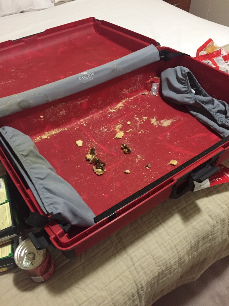 John Stacey tweet media