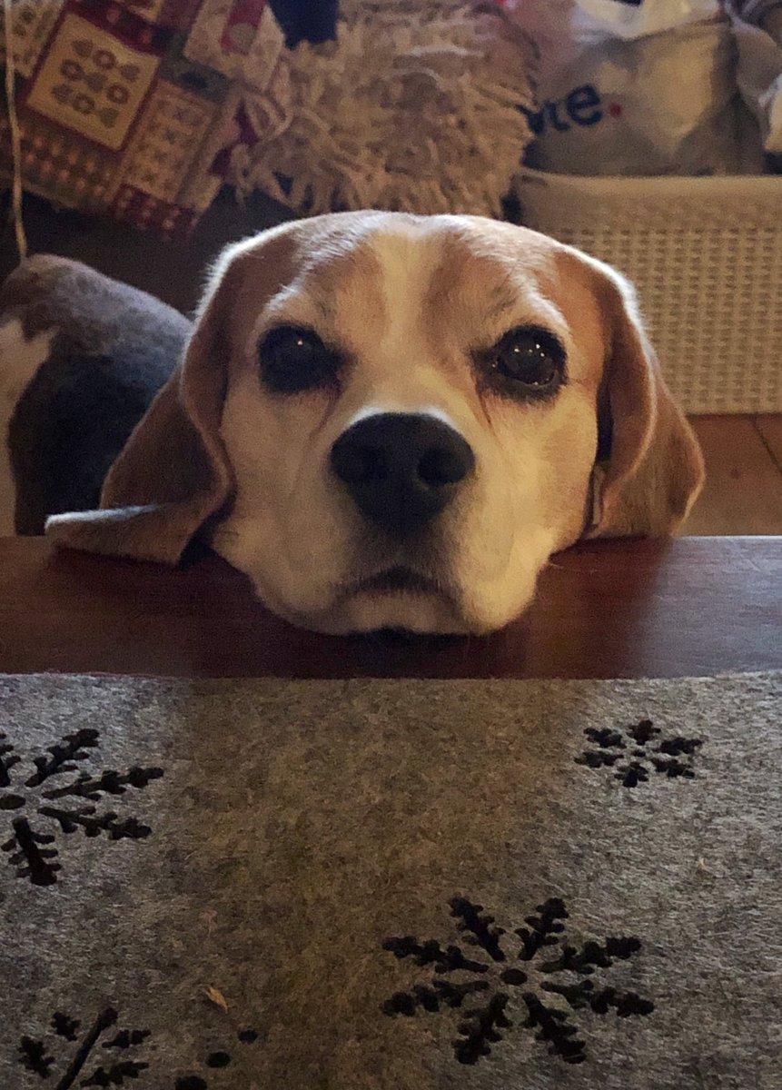 Eh, and where is the advent treat for me?