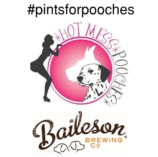 bailesonbrewing's tweet photo. We are very excited to announce that, thru December, we'll donate $1 from every pint sold on Sundays to Hot Mess Pooches Sanctuary & Rescue, who foster dogs that are vision and hearing impaired. So come drink beer for charity… as if you needed another reason!
#pintsforpooches https://t.co/ezDzKcRNFk