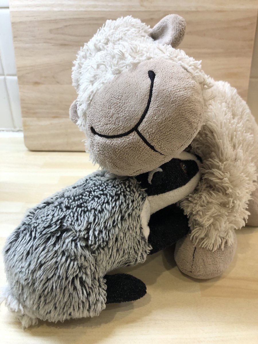 Bella arrived on Christmas Day three years ago and we have been friends ever since 😍 #MasterChefSheep #ChristmaswithBella