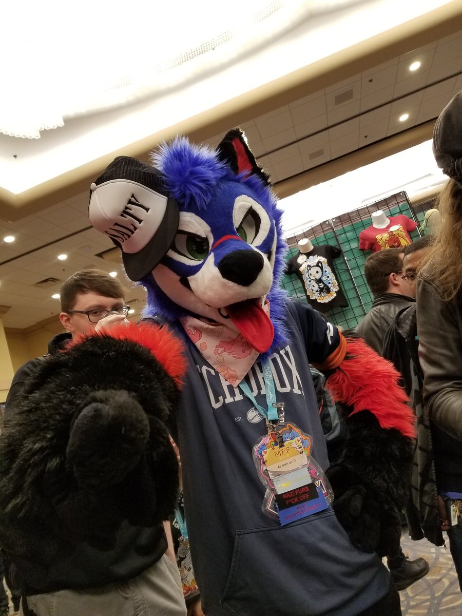 WoofcatInk's tweet photo. Looks like @SonicFox5000 is a little salty at #mff2018 https://t.co/Qfgo5zbw3J