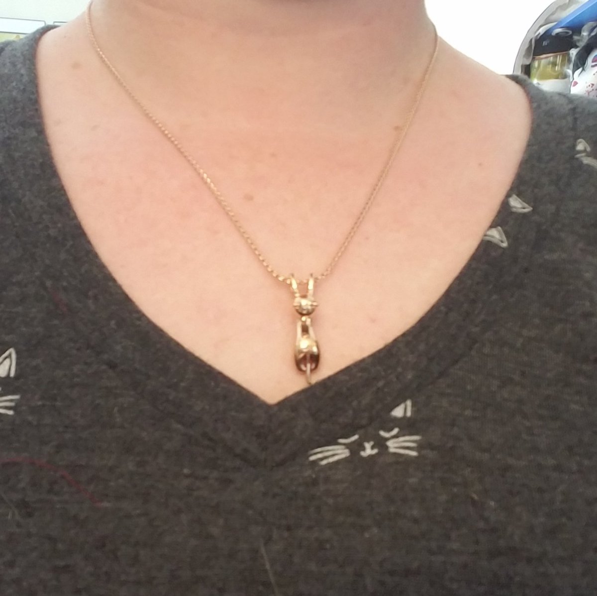 BestCatArwyn's tweet photo. Grammama sent Momma this necklace. Momma will now be able to carry a bit of Furi with her fur always.
#CurePetCancer #OTRB #FufuCuddlyPoops #BestCatInTraining https://t.co/Hw38jqZY02