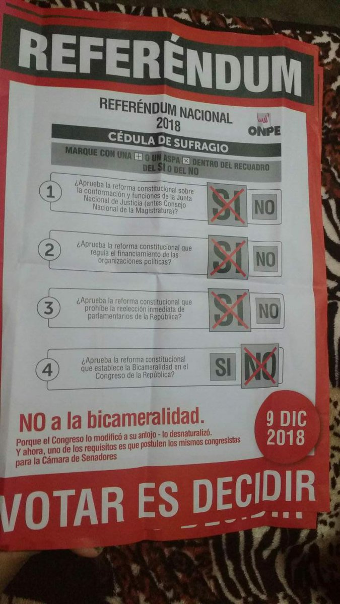 DN_Mariano's tweet photo. Al haberse faltado al PRINCIPIO DE NEUTRALIDAD por parte de la @ONPE_oficial y del tirano @MartinVizcarra, el REFERÉNDUM  debe suspenderse hasta corregir esta delincuencial faltamiento a LA ley
#ReferendumViciado https://t.co/cA15DNI8Tx