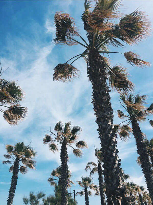 i1aydatekin's tweet photo. Valencia, Spain 🌴💃🏻 Only beach vibes 🌞  #Travel #travelblogger #travelphotography #traveltips #traveling #girl #photography #Photoshoot #photooftheday #blog #blogging #Bloggers #blog #spain #spanien #valencia #sun #summer https://t.co/ZExrgMsnQW