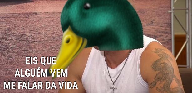 O pato não liga