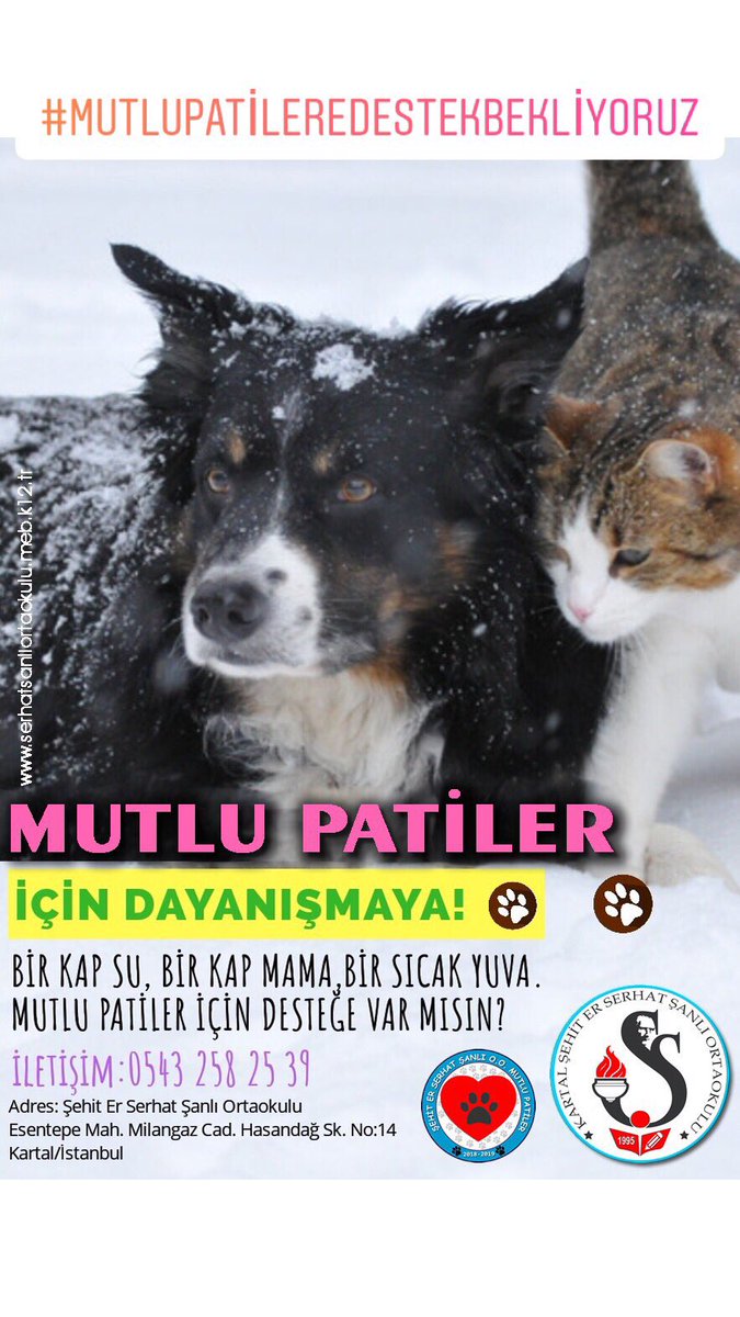 Mutlu Patiler için dayanışma!Bir kap su,bir kap mama ,bir sıcak yuva.