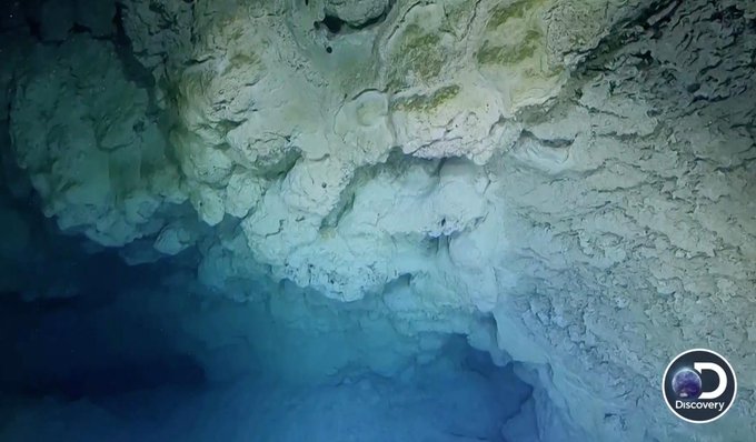 View image on Twitter