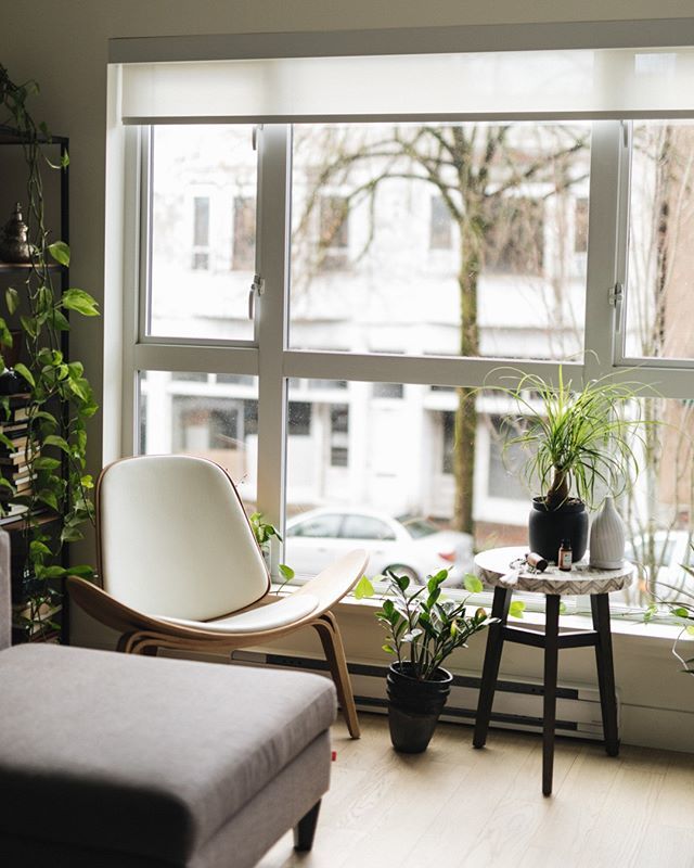 fernandpetal.ca tweet media