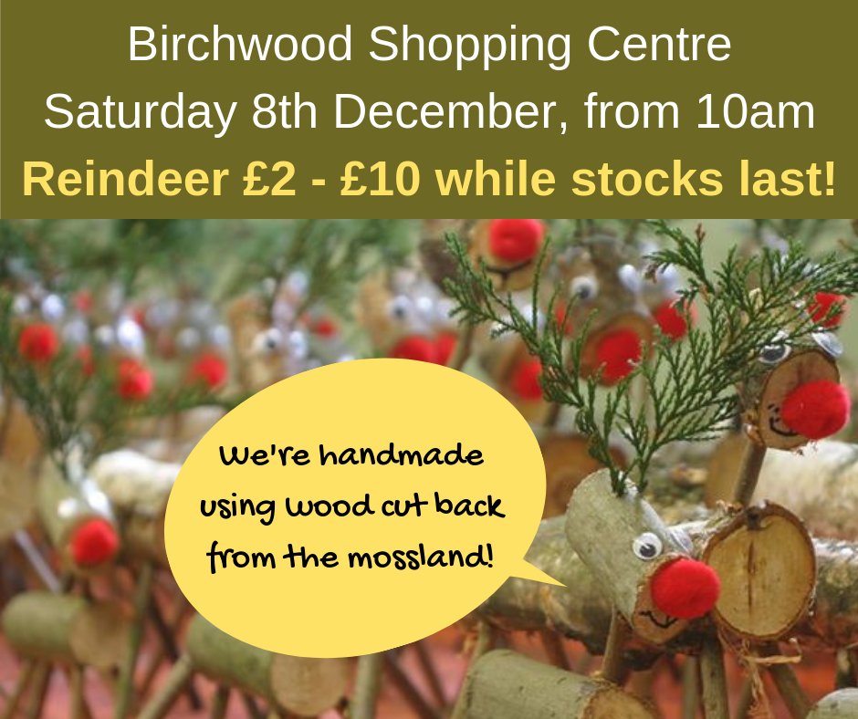 RisleyMossAG's tweet photo. Miss us at the @TheElfHunt on Saturday? There's still time to get a Reindeer! Come to Birchwood Mall Saturday 8th Dec! Reindeer available from 10am while stocks last!  #RedNosedReindeer @BirchwoodSC @WarringtonBC #SSSI #TowerFund #Birchwood #RedNosedReindeer https://t.co/oyZfQu85Di