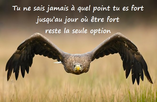 fetema's tweet photo. Eh oui tu peux le faire ... confiance! https://t.co/gVnUP0IEw5