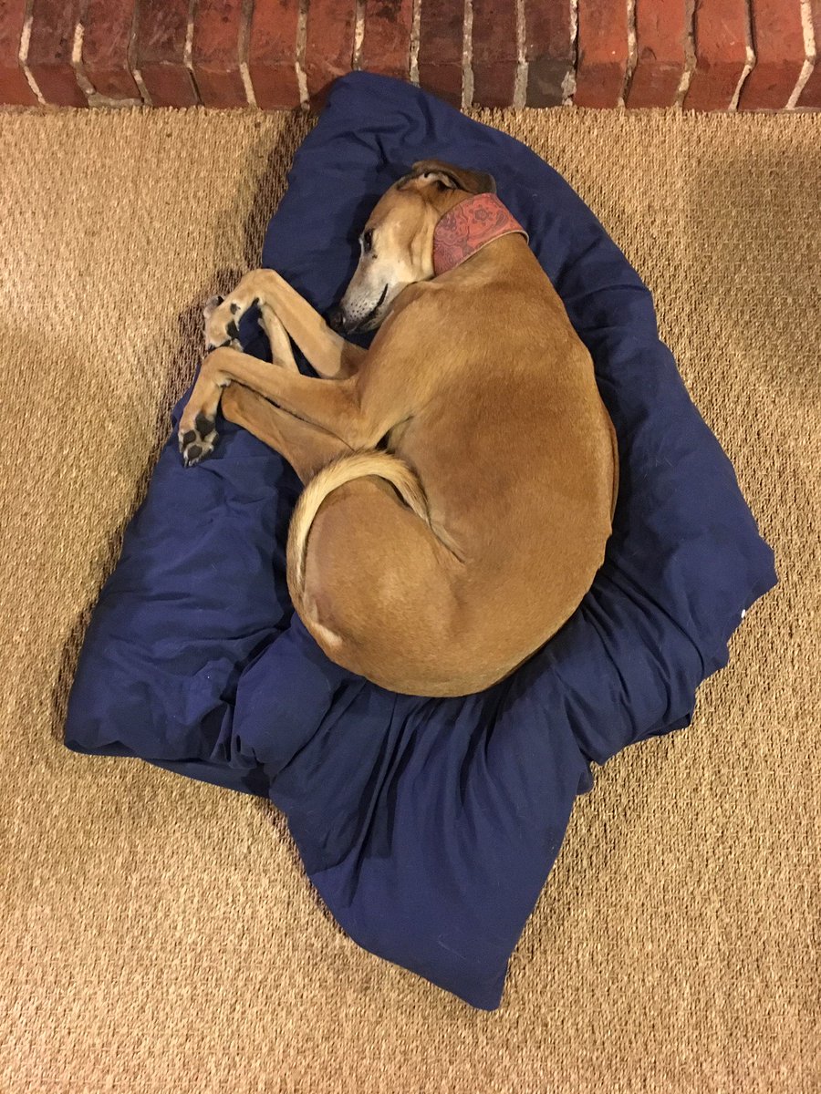 Neil Harrison tweet media