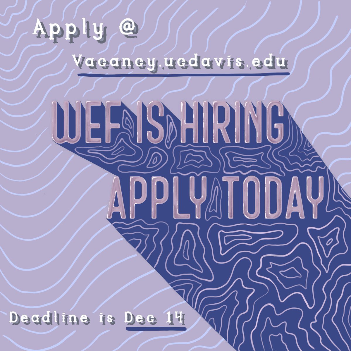 Hey Aggies! We still have some exciting positions open for the festival, such as curating an art gallery, coordinating craft booths  and many more! If you’re interesting in becoming a part of our WEF family check out vacancy.ucdavis.edu and apply today!