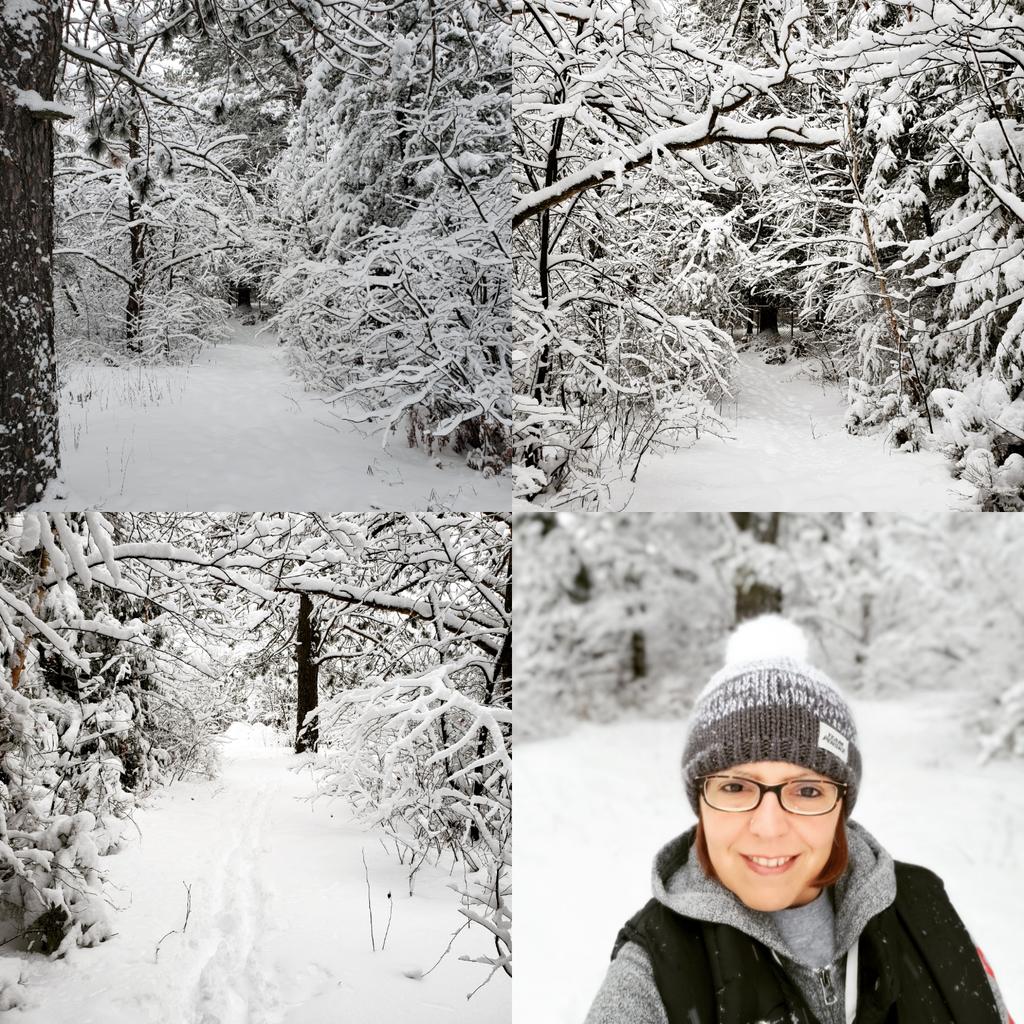 CBelfitt's tweet photo. A beautiful day to be outside! #nofilter #winterwonderland #walkinthebush #selfcare #metime #snowday #snowySunday #snowedin #Levack https://t.co/7cBgdlJPW7