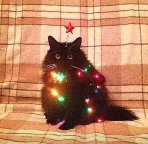 You became the very same thing you swore to destroy