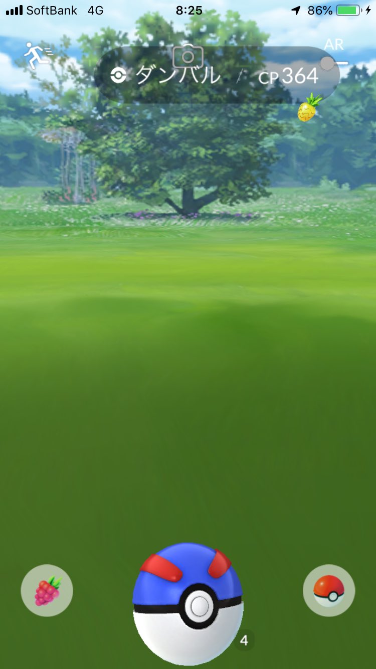 辛子 ダンバルが捕獲画面から逃げた ポケモンgo バグ T Co Nnutgsgzmi Twitter