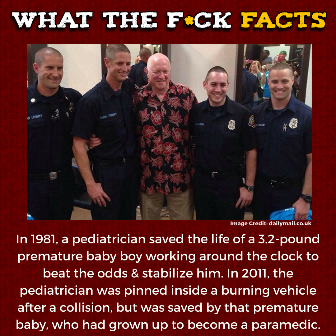 WhatTheFFacts's tweet photo. https://t.co/cXNZ6iDJnf