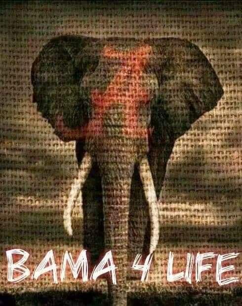 jeffscott70's tweet photo. Roll Tide Roll https://t.co/qE1VE86zxt