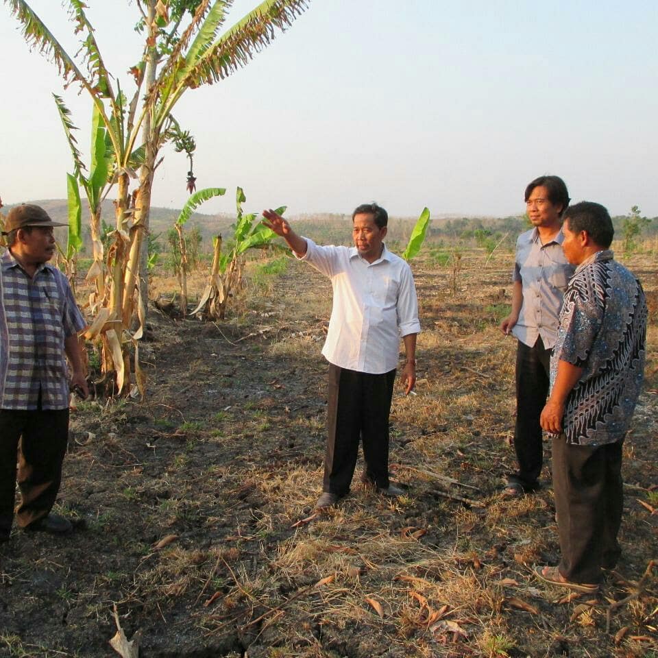 Anggota komisi IV DPR RI Drs H Fadholi bersama petani mengecek lahan pertanian yang akan dibangun saluran irigasi

#SahabatFadholi 
#FadholiKendal
#NasDemAntiMahar 
#CalegNasDem 
#dprri