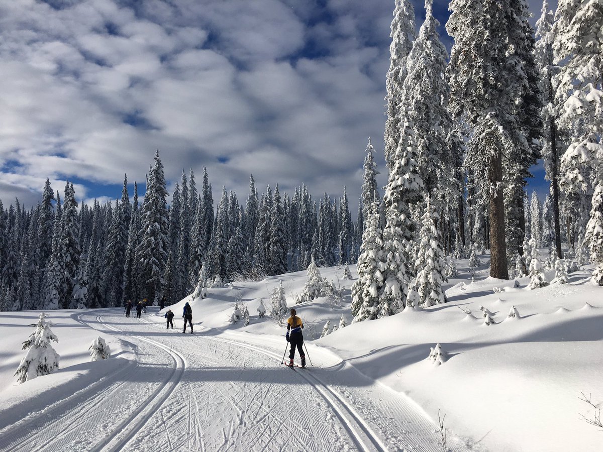 PhotoSquared's tweet image. Great early season camp with the @Ski_LHN kids up at @SilverStarMR