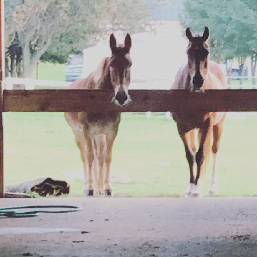 FlyByePlus's tweet image. As you all know, the holidays are going by fast and that means that there isn’t a lot more time to shop for gifts! Whether you’re looking for stocking stuffers or a great gift to give a friend, we have the best product line that will make everyone happy!☃️❤️