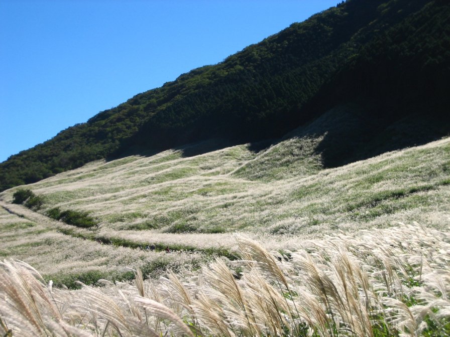 kodawariman's tweet photo. あんけ https://t.co/5PrR5fVgKq