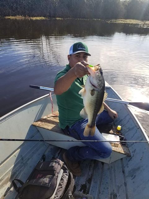 RunclOfficial's tweet photo. π₯π₯π₯Another few on paddle tail swimbaits from #AnchorBox.
$15.99 for a box of 50 pcs lures of different color.
Buy here at: https://t.co/YSJNF2EsdH
#fishing #bassfishing #pbbass #largemouthbass https://t.co/AQVScA7vhP