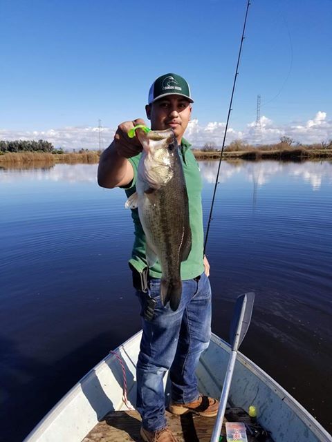 RunclOfficial's tweet photo. π₯π₯π₯Another few on paddle tail swimbaits from #AnchorBox.
$15.99 for a box of 50 pcs lures of different color.
Buy here at: https://t.co/YSJNF2EsdH
#fishing #bassfishing #pbbass #largemouthbass https://t.co/AQVScA7vhP