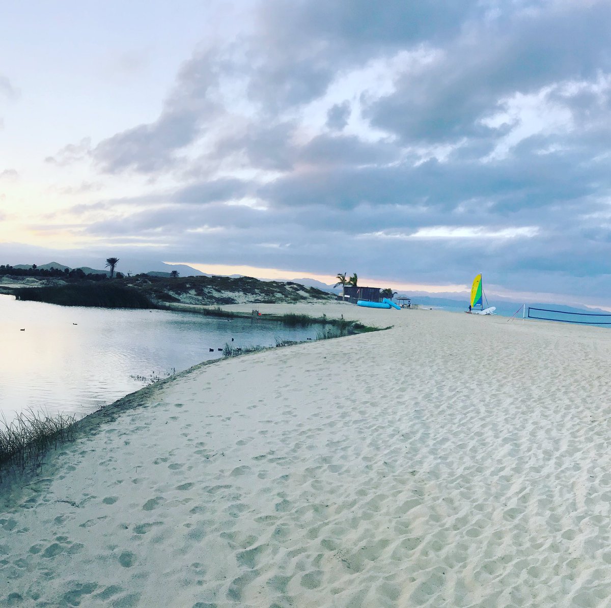 Tim Powers tweet media