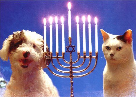 petsability's tweet image. Happy Hanukkah to all our Jewish Pets! 
#dogsarelove #catsareawesome #pets