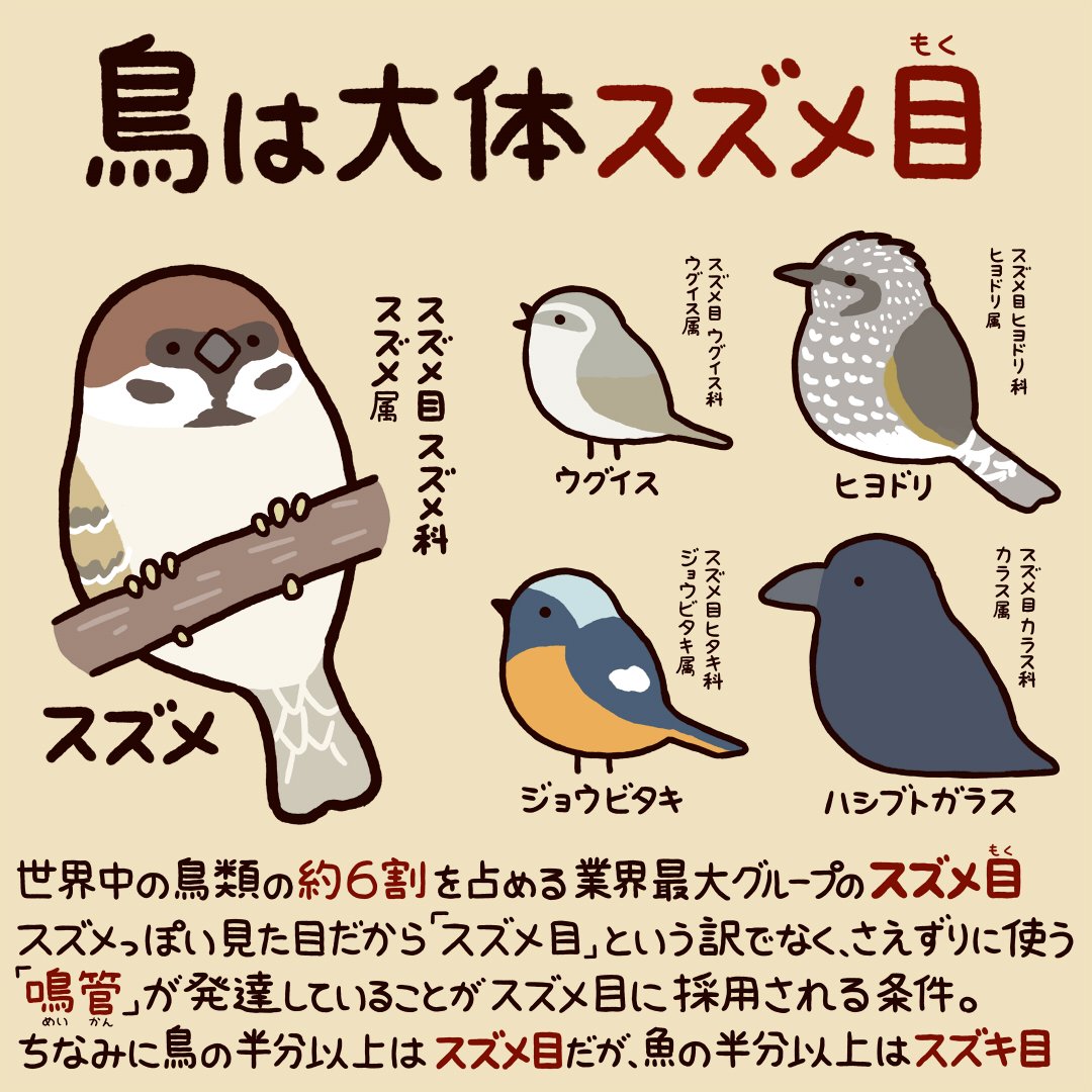 今日から使える動物豆知識 