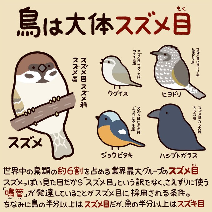 動物豆知識のtwitterイラスト検索結果 古い順 動物豆知識のtwitterイラスト検索結果 古い順