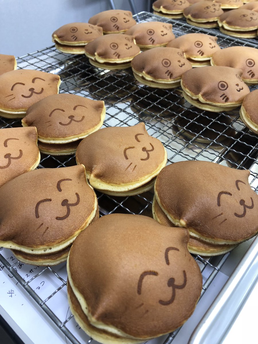 littlemindora's tweet photo. 今日も、ぷわぷわに焼けました。
#にゃんどら #宮崎県国富町 #maccya #catcake #japanesefood https://t.co/epC22Ox85X