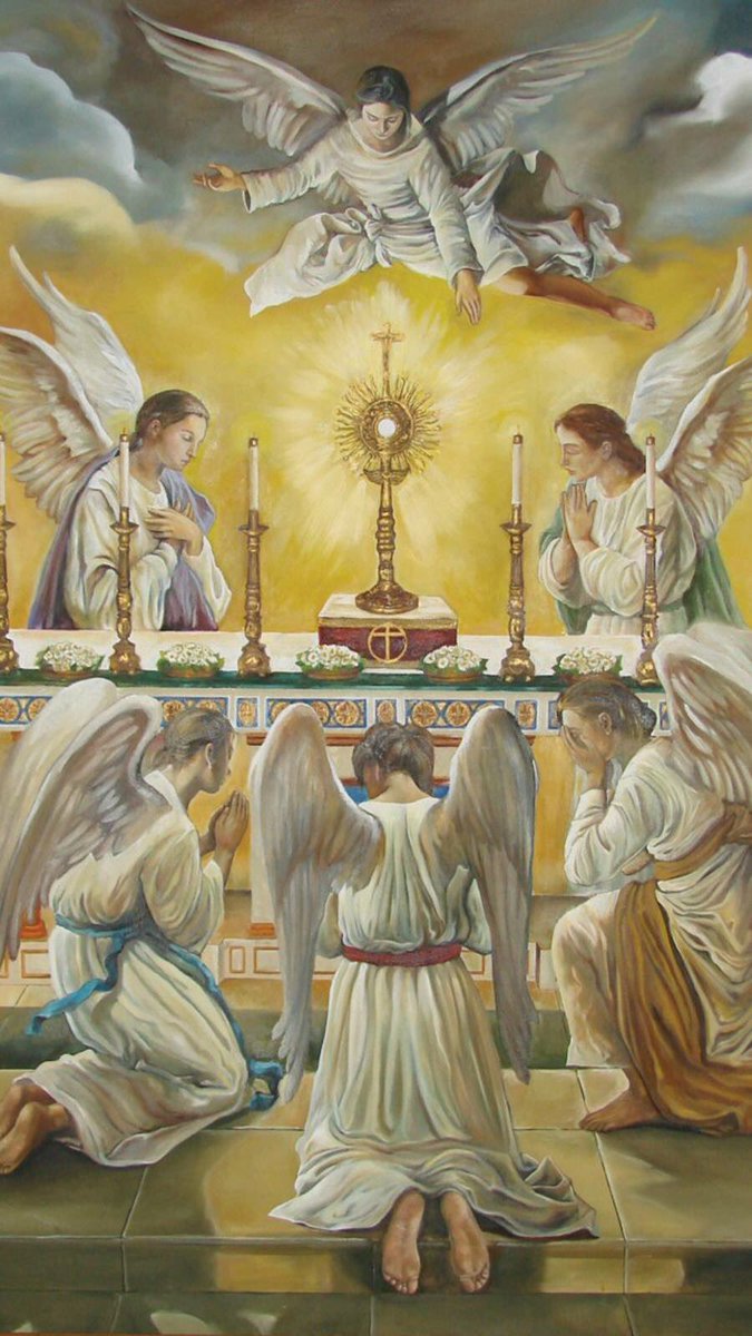 MargoCatholic's tweet image. Just a friendly Sunday night reminder that Catholicism is true whether you like it or not. Catholicism will remain true even if zero people accepted it. #Transcendent #ObjectiveTruth