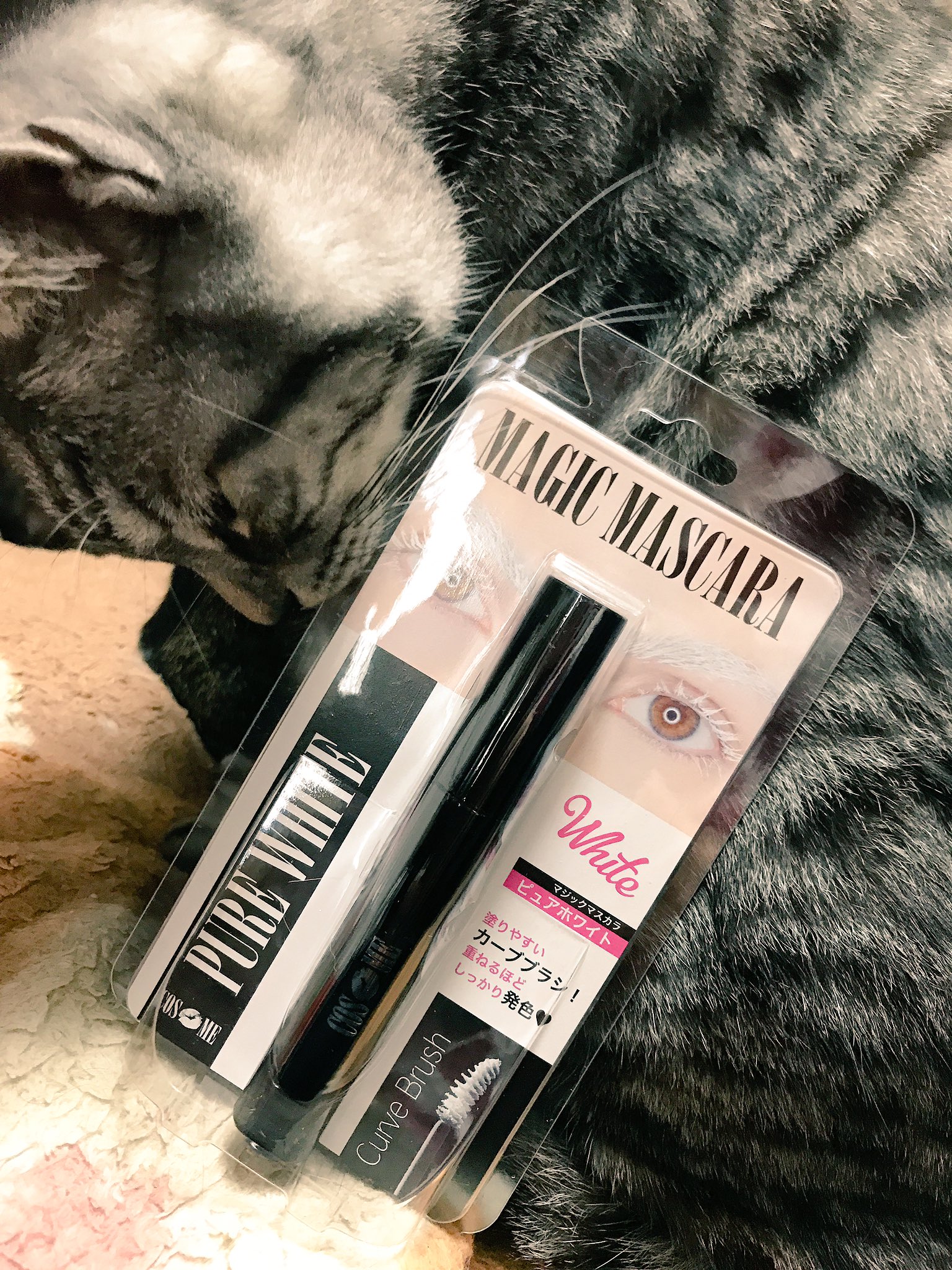 神嬢 Luna 白いマスカラ塗ってみた アルビノメイクがしたくて注文した 白いマスカラが届いたので 早速まつげと眉毛に塗ってみました 近々白い付けまつ毛も届く予定 次はメイクも髪型もきちんとして 撮ってみよう 白いマスカラ アルビノメイク