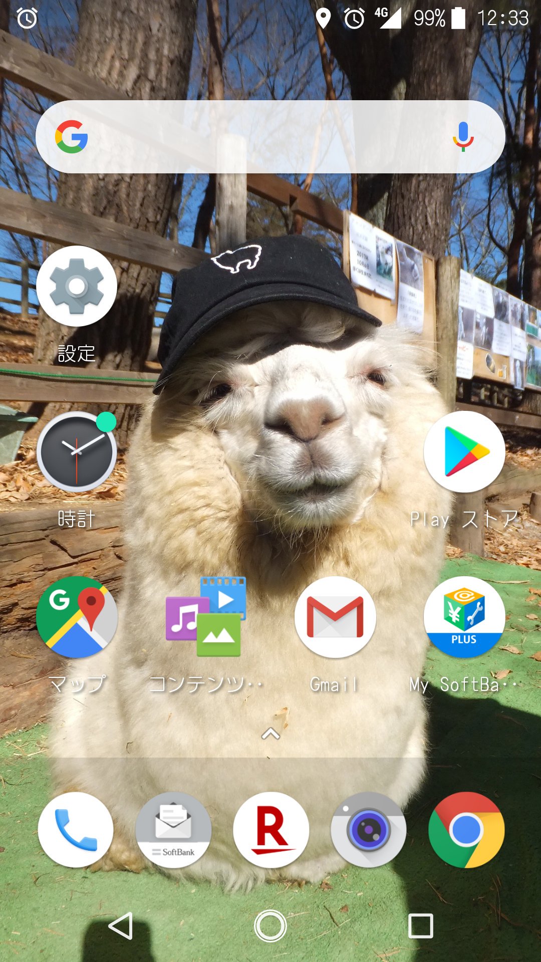 Takehiko Onda 久しぶりにスマホの壁紙を変えました アルパカ 八ヶ岳アルパカ牧場 チャッピー T Co Flyawibudt Twitter