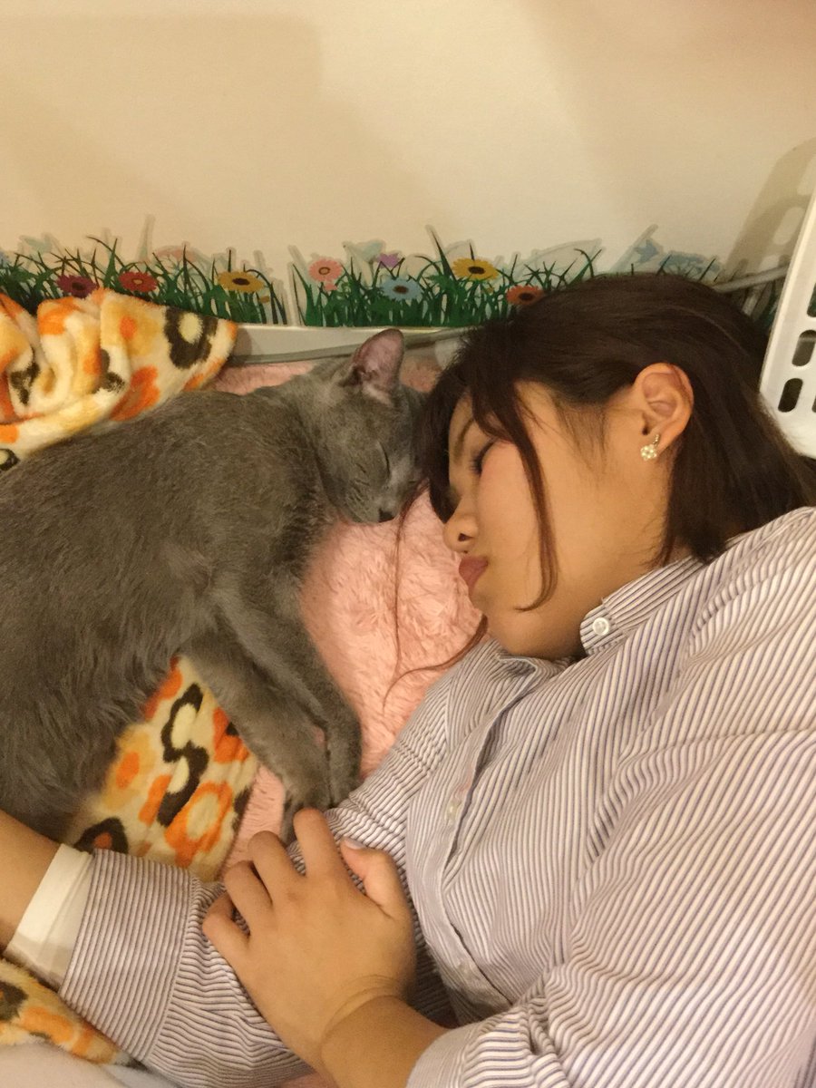 神戸三宮 猫クラブ く にゃん 蒼ちゃんは娘のことが大好きです 神戸 三宮 猫クラブ く にゃん ねこ ねこら部 猫 Cat Catstagram 猫カフェ 猫のいる暮らし 猫の癒し 猫好きさん ねこ好きさんと繋がりたい 保護猫 猫の譲渡会 にゃんす 神戸三宮 猫クラブ く にゃん 蒼ちゃんは娘のことが大好きです 神戸 三宮 猫クラブ く にゃん ねこ ねこら部 猫 Cat Catstagram 猫カフェ 猫のいる暮らし 猫の癒し 猫好きさん ねこ好きさんと繋がりたい 保護猫 猫の譲渡会 にゃんす