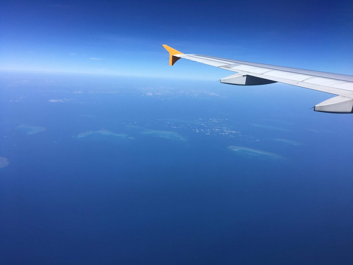 Nothing to do with work... but as part of studying #marinebiology, and in the making a dream come true.... travelling to #GreatBarrierReef today! #ocean #marineconservation #marinelife #sea #freediving #lovemylife