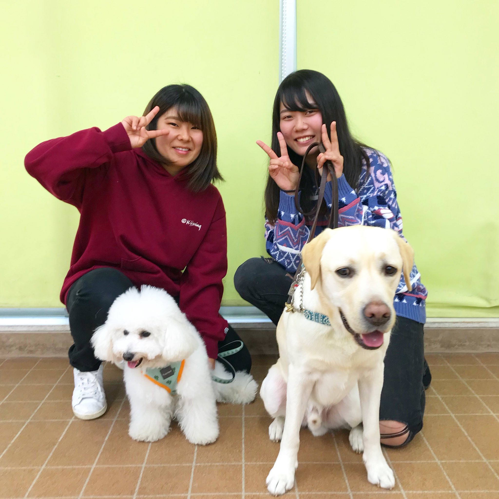 تويتر 公式 国際動物専門学校 على تويتر 卒業生 しつけ トレーニング学科の卒業生が遊びにきてくれました 大池さんと小菅さん そして担当犬だった ふうた と アトム も元気そうでなにより 卒業生 担当犬 国際動物専門学校 東京 犬 ドッグ