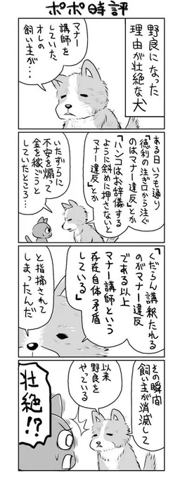 野良になった理由が壮絶な犬 