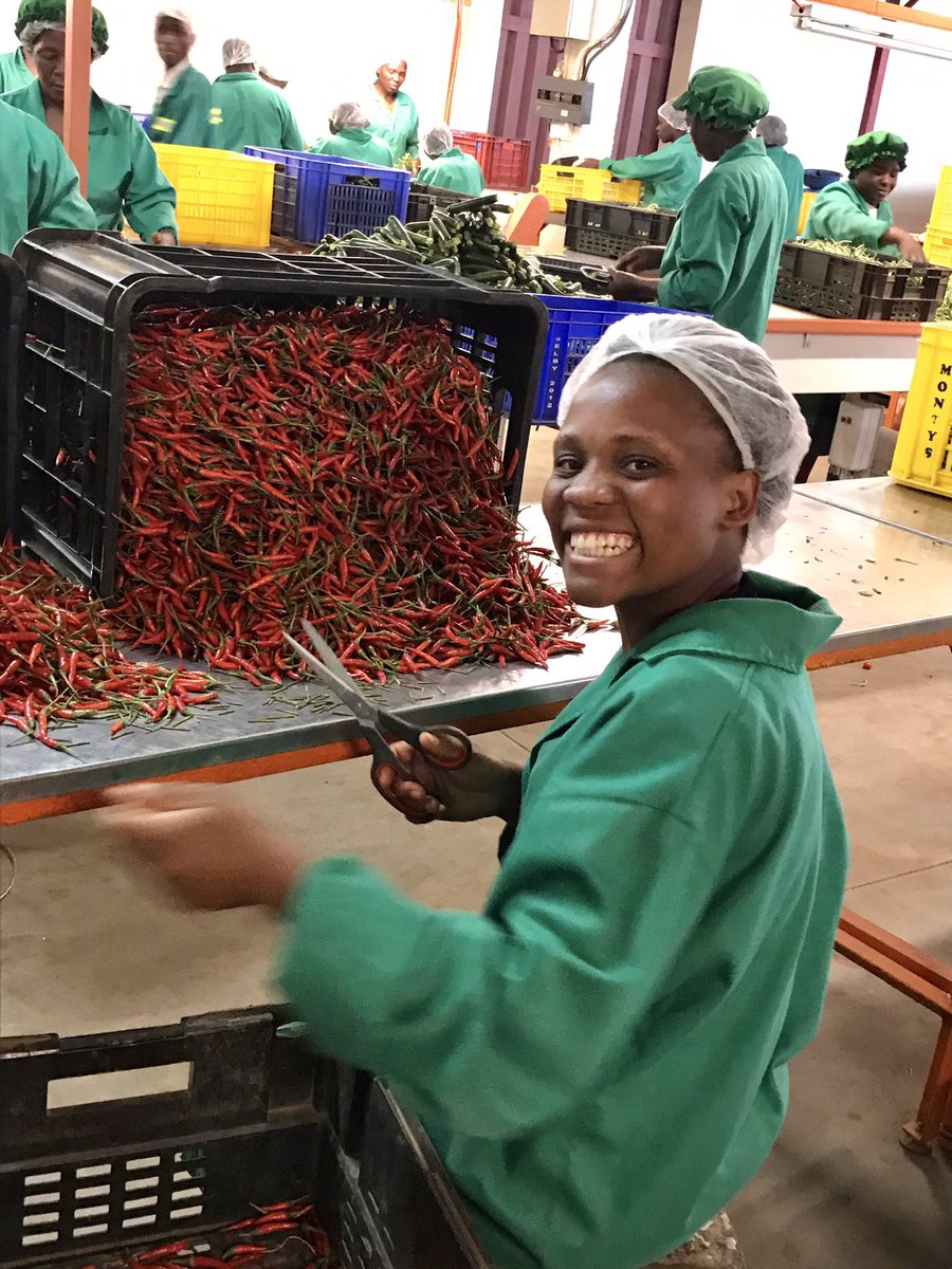 euinzim's tweet photo. Zim’s #EPA champions like Selby’s benefit from quota-free, duty-free access to the #EU. For more info on exports to the EU, check https://t.co/x04pCk2kNO https://t.co/lln6q4jAJ3