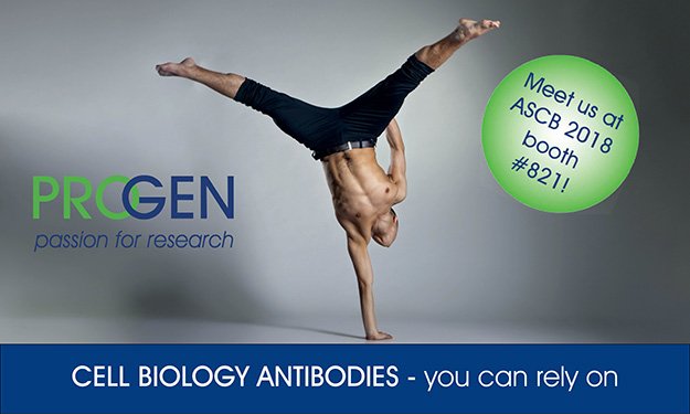 Progen_Biotech's tweet image. Meet PROGEN at the ASCB 2018 - Highly validated cell biology antibodies mailchi.mp/progen/meet-us…