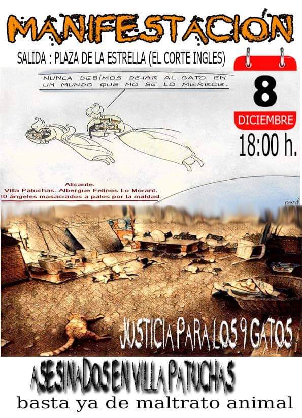 antigona_g's tweet photo. El 25 de noviembre , en Villa Patuchas, 9 de nuestros gatos fueran asesinados a golpes.😿Queremos Justicia. El 8/12  a las 18 hs,saldrá una saldrá una manifestación de Pza de la Estrella.Contra la barbarie y el maltrato animal,pedimos Justicia,para nuestros pequeños¡acude!🙏🐈 https://t.co/JPJHW5nBz5