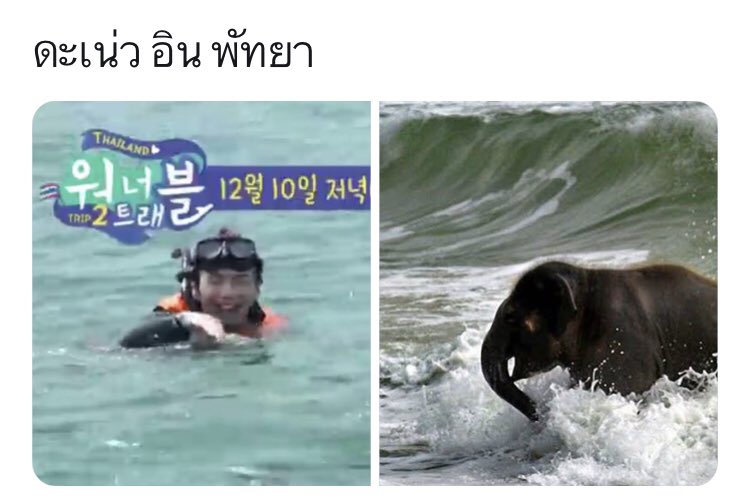 อาอง✨ tweet media